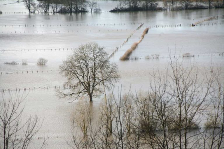 découvrez l'impact des inondations sur l'agriculture britannique, les défis rencontrés par les agriculteurs et les solutions envisagées pour protéger les cultures et les élevages face aux changements climatiques.